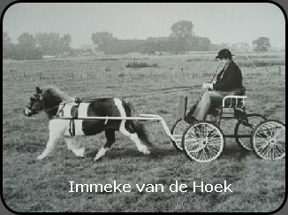  Immeke van de Hoek